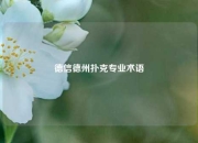 德信德州扑克专业术语