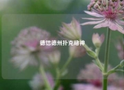 德信德州扑克赌神