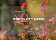 德信德州扑克大小盲注教学