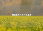 德信德州扑克什么是鱼