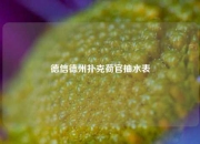 德信德州扑克荷官抽水表