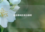 德信德州扑克小游戏