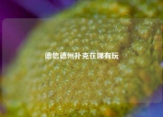 德信德州扑克在哪有玩