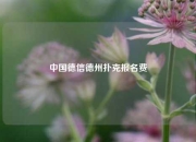 中国德信德州扑克报名费