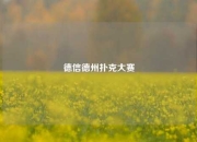 德信德州扑克大赛