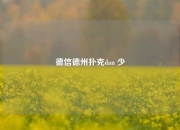 德信德州扑克dan 少