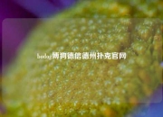 bodog博狗德信德州扑克官网