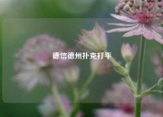 德信德州扑克打平