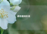 德信德州扑克