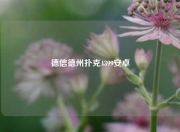 德信德州扑克4399安卓