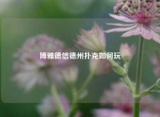 博雅德信德州扑克如何玩