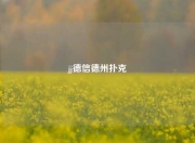 jj德信德州扑克