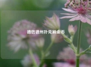 德信德州扑克刷金币