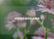 成都德信德州扑克用具