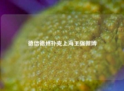 德信德州扑克上海王强微博