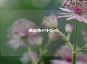 德信德州扑克SNG