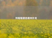 刘璇璇德信德州扑克