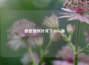 德信德州扑克下分ios版