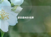 德信德州扑克牌