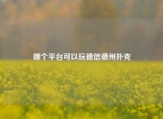 哪个平台可以玩德信德州扑克