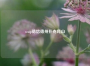 wsop德信德州扑克昆山
