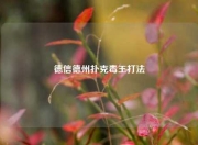 德信德州扑克毒王打法