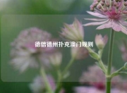 德信德州扑克澳门规则