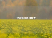安卓德信德州扑克