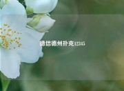 德信德州扑克12345
