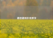 德信德州扑克教学