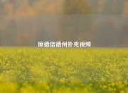原德信德州扑克视频
