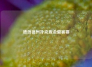 德信德州扑克现金豪客赛