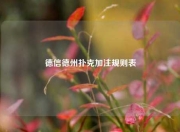 德信德州扑克加注规则表