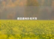 德信德州扑克开发
