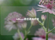 fullhouse德信德州扑克