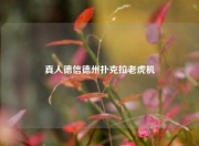 真人德信德州扑克拉老虎机