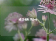 德信德州牌扑克