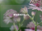 德信德州扑克check