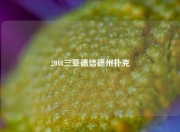 2018三亚德信德州扑克