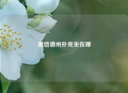 德信德州扑克坐在哪