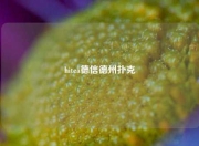 hitea德信德州扑克