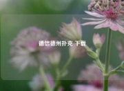 德信德州扑克 下载
