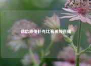 德信德州扑克比赛视频直播