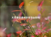 大发德信德州扑克平台好吗