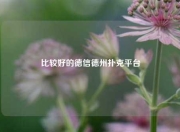 比较好的德信德州扑克平台
