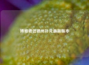 博雅德信德州扑克最新版本