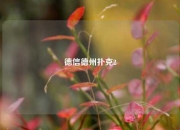 德信德州扑克2