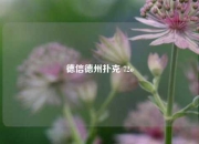 德信德州扑克 72o