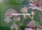 德信德州扑克官方网站