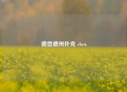 德信德州扑克 chen